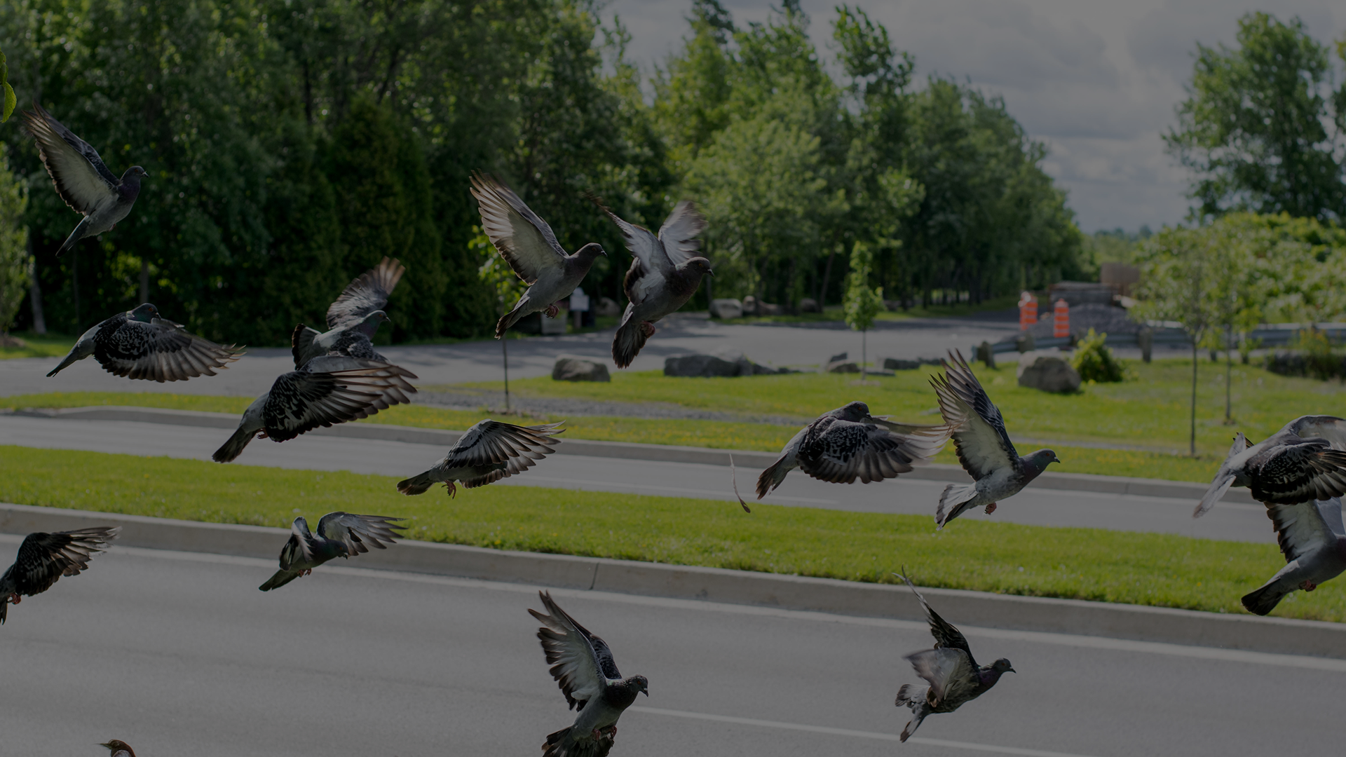 EchoVista Signs MOU with Bruisertech South Africa